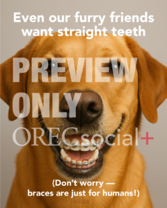 Pets in Braces